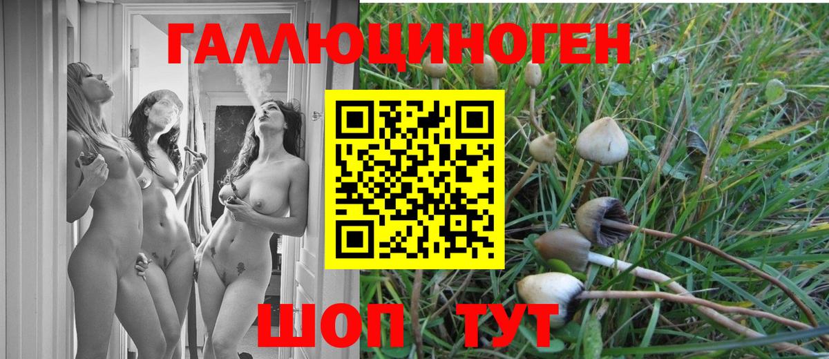 Псилоцибиновые грибы мицелий Ногинск