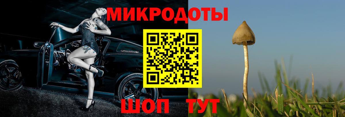Псилоцибиновые грибы мухоморы  Галлюциногенные грибы Psilocybine cubensis  Ногинск  Вход с VPN 